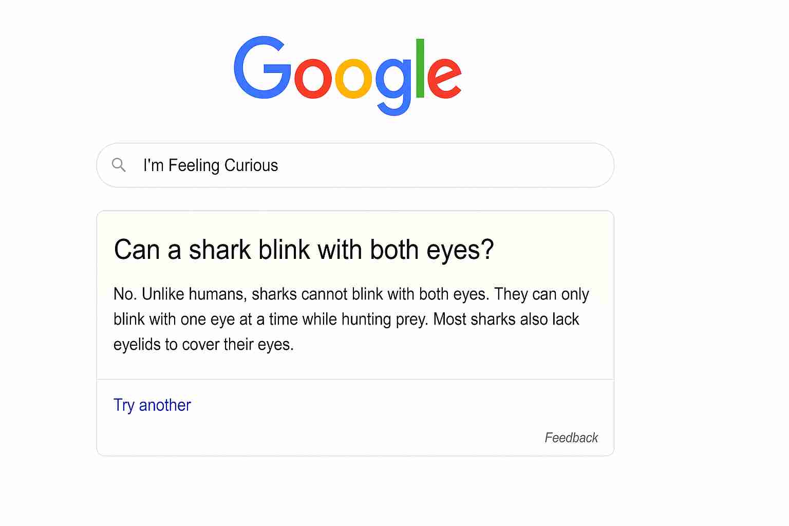 “I'm Feeling Curious” The Fun Brain Boost Hiding in Google(02)
