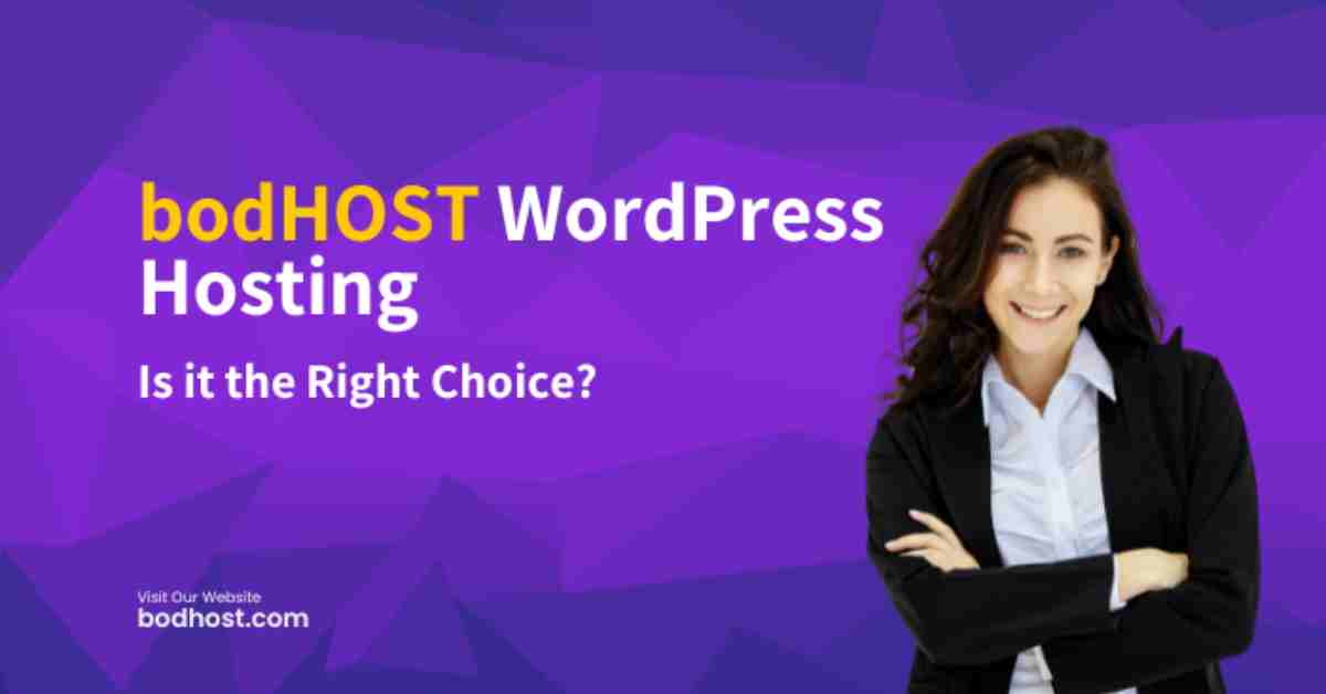 Illustration representing bodHOST WordPress hosting features, performance, and security review